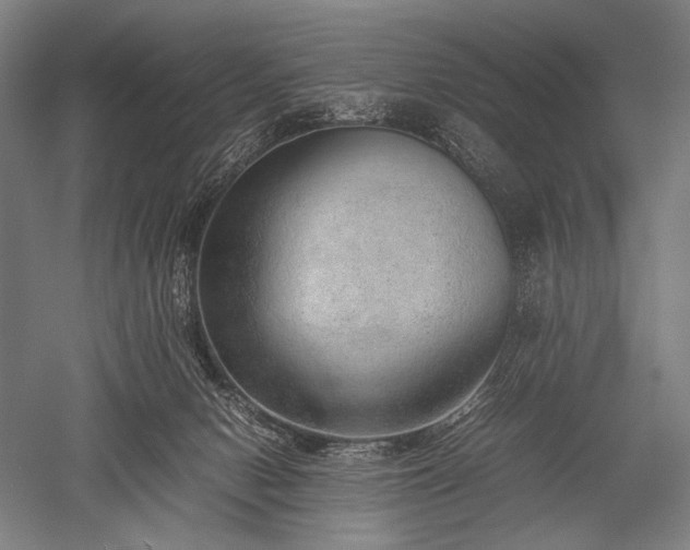 X0000052550078200507081620