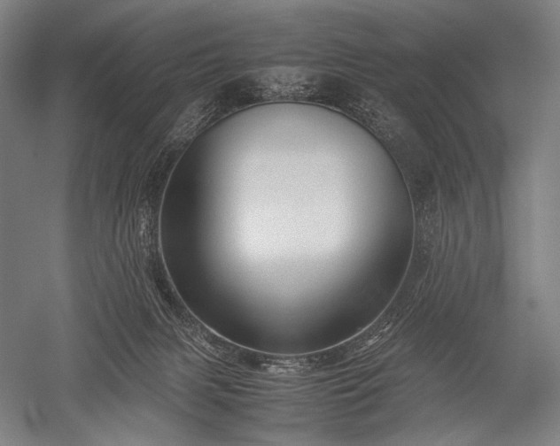 X0000052550079200507081620