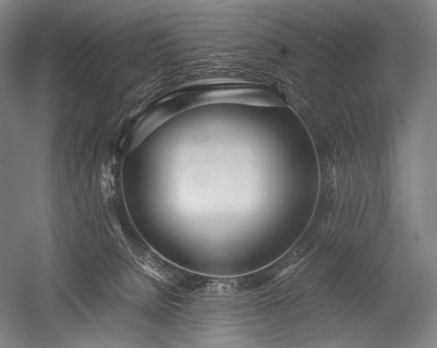 X0000052550080200507081620