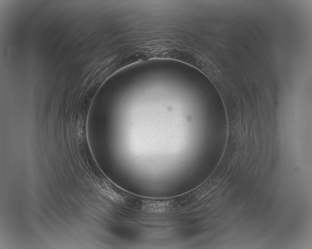 X0000052550081200507081620