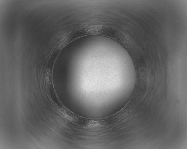 X0000052550083200507081620