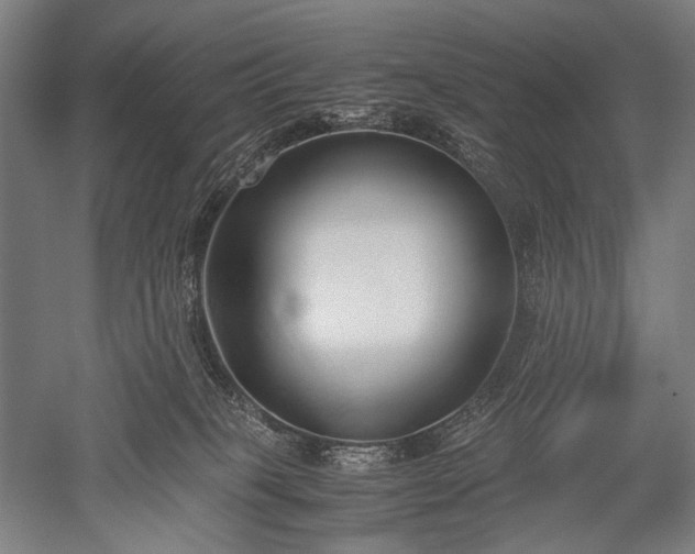 X0000052550085200507081621