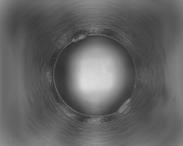 X0000052550086200507081621