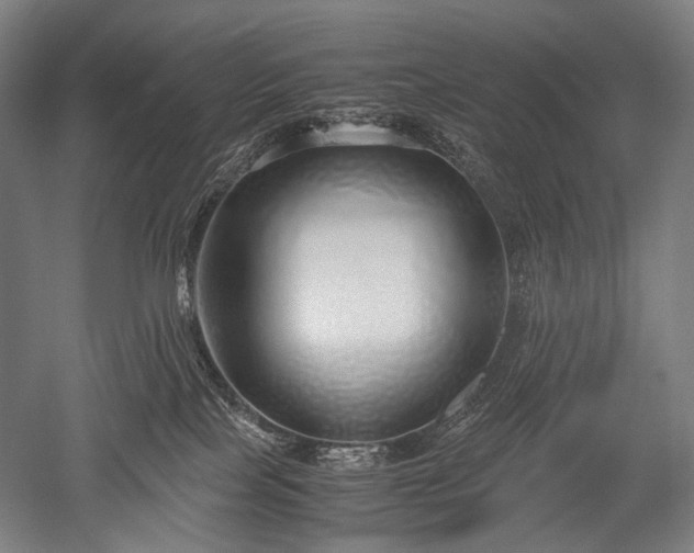 X0000052550089200507081621