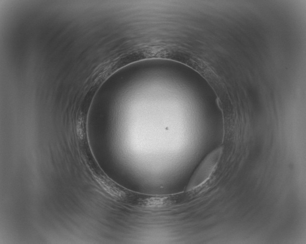 X0000052550090200507081621