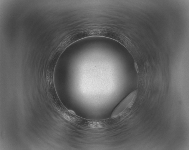 X0000052550091200507081621