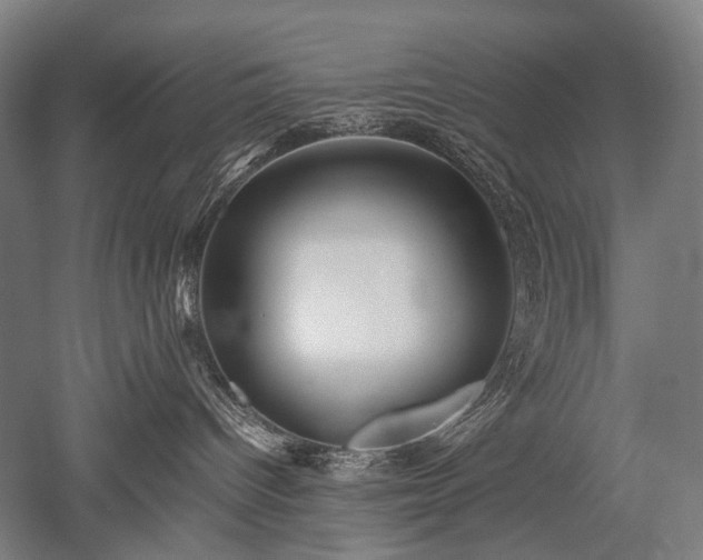 X0000052550096200507081621