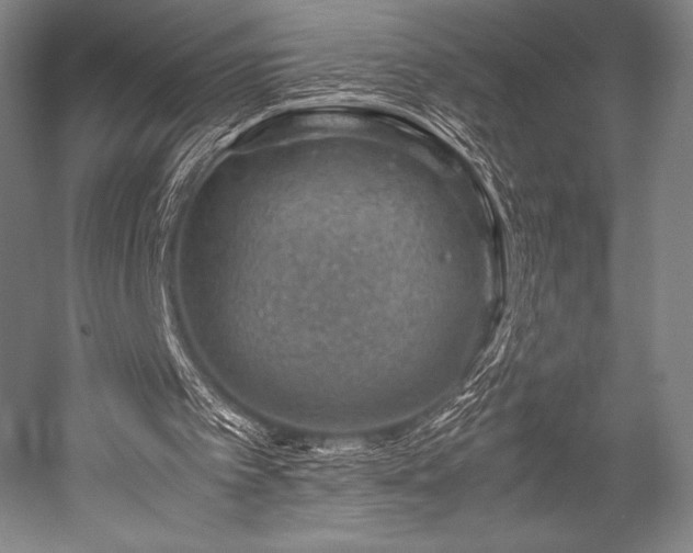 X0000052550097200507081620