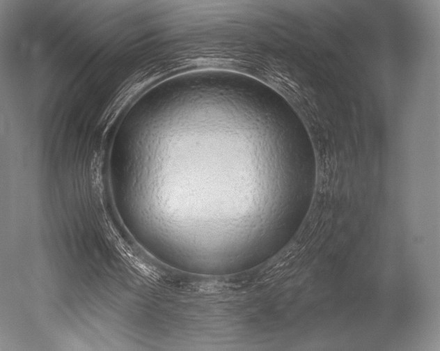 X0000052550098200507081620