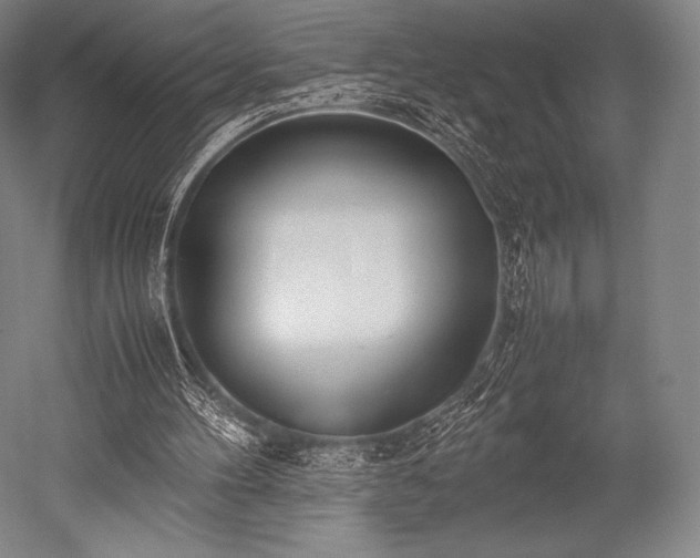 X0000052550100200507081620