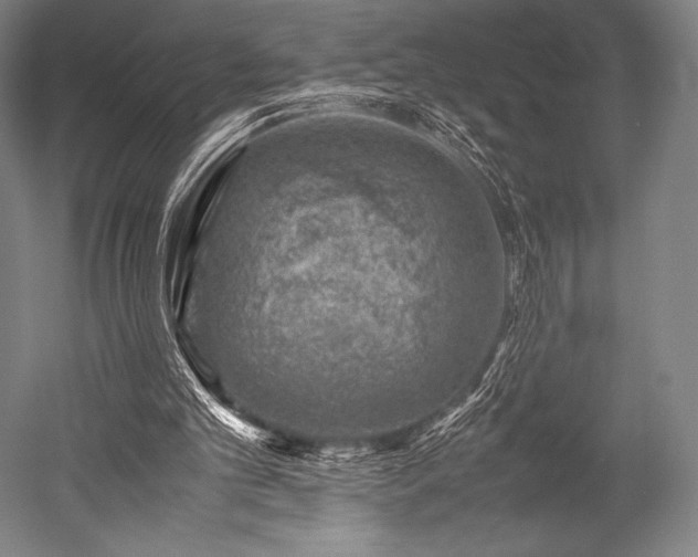 X0000052550101200507081620