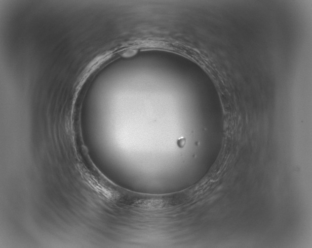 X0000052550104200507081620