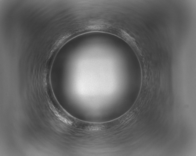 X0000052550106200507081620