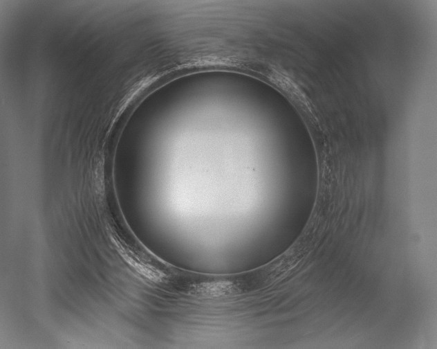 X0000052550108200507081620