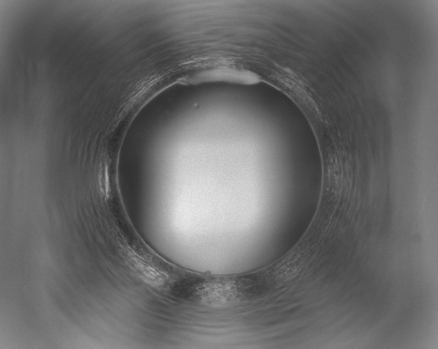 X0000052550110200507081620