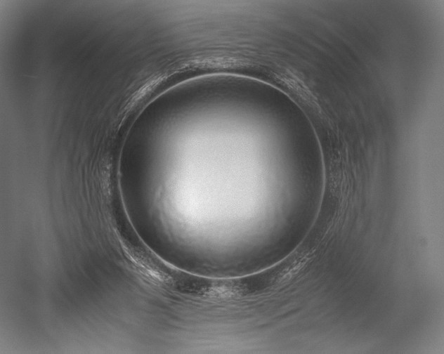 X0000052550111200507081620