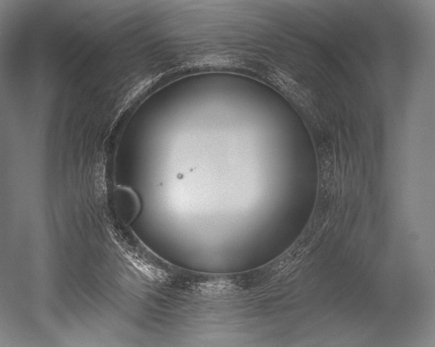 X0000052550112200507081620