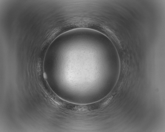 X0000052550113200507081620