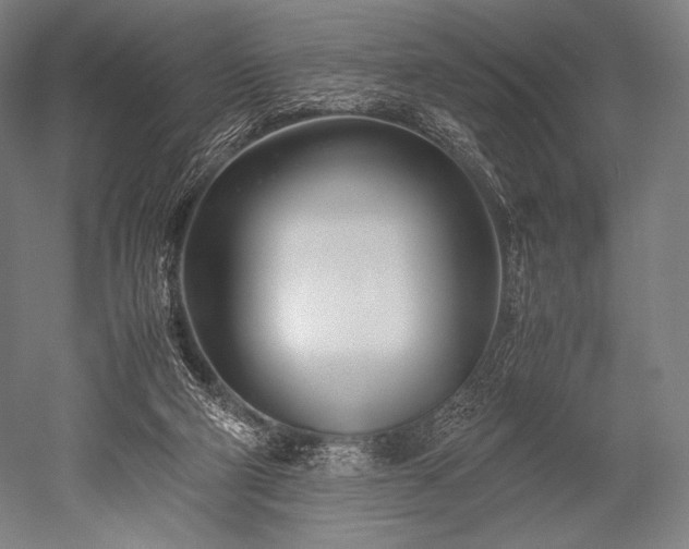 X0000052550114200507081620