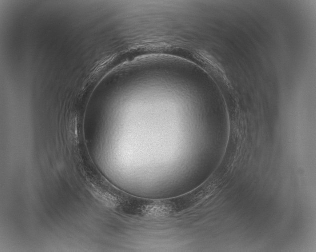 X0000052550115200507081620