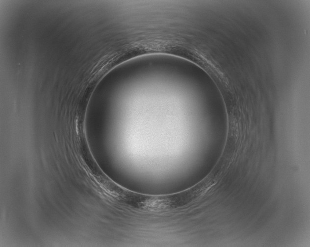 X0000052550117200507081620