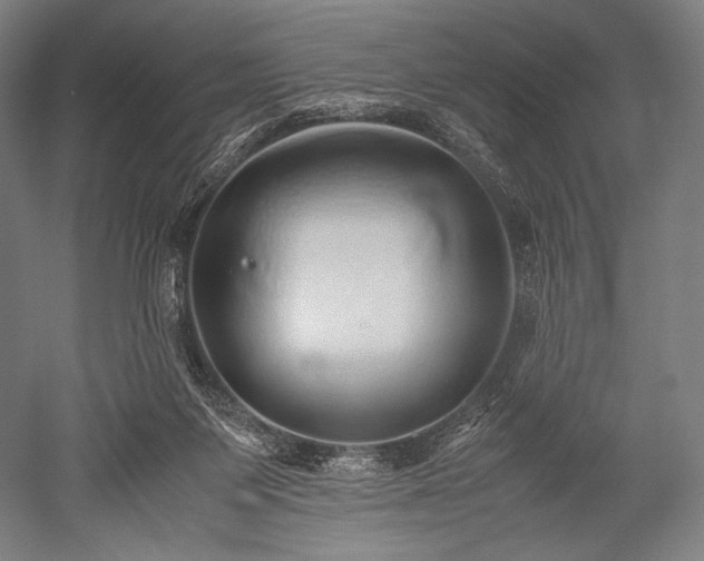 X0000052550119200507081619