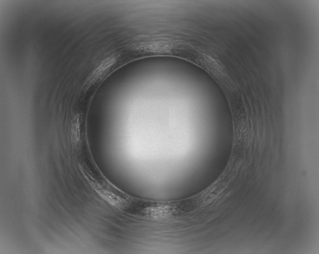 X0000052550120200507081619