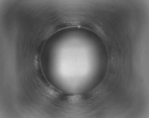 X0000052550122200507081619