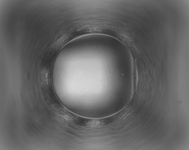 X0000052550123200507081619