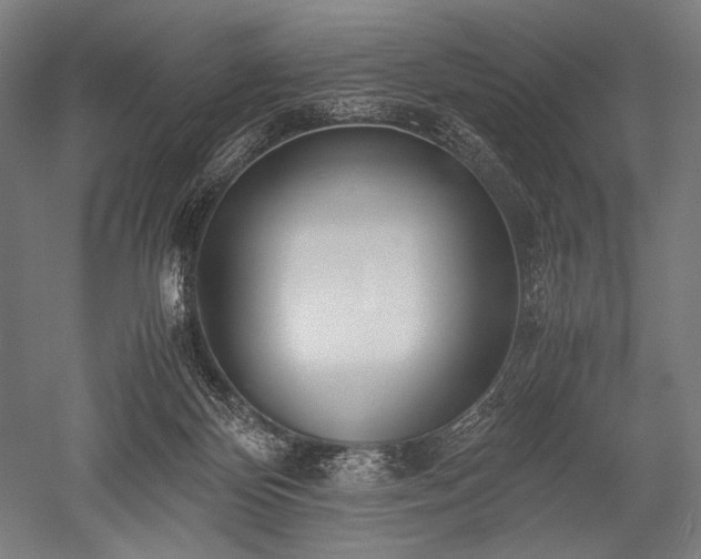 X0000052550124200507081619