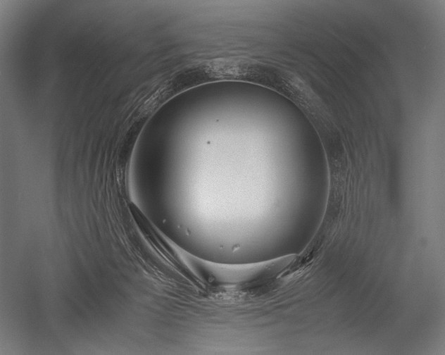 X0000052550125200507081619