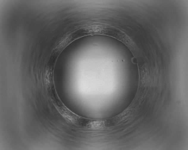 X0000052550126200507081619