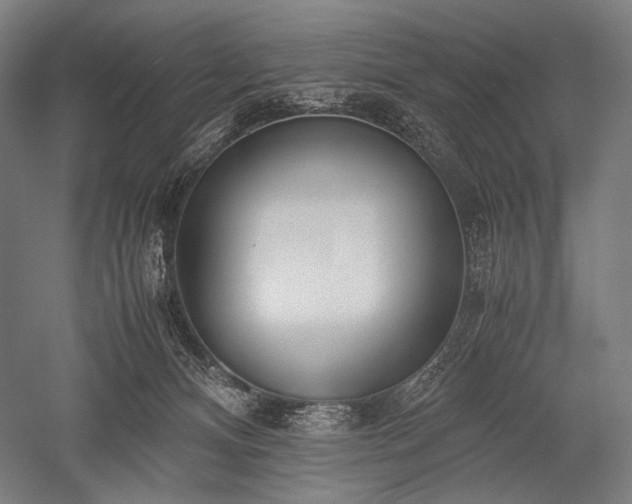 X0000052550128200507081619