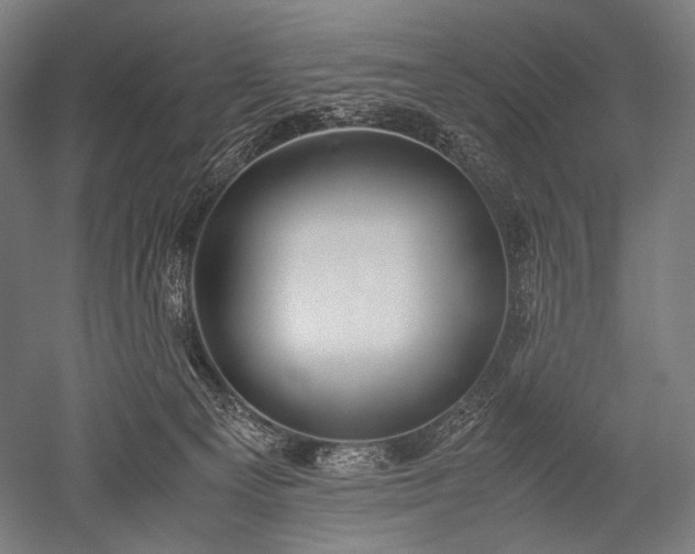 X0000052550129200507081619