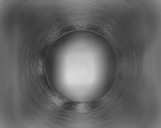 X0000052550130200507081619