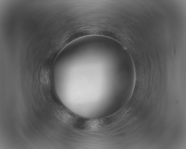 X0000052550131200507081619