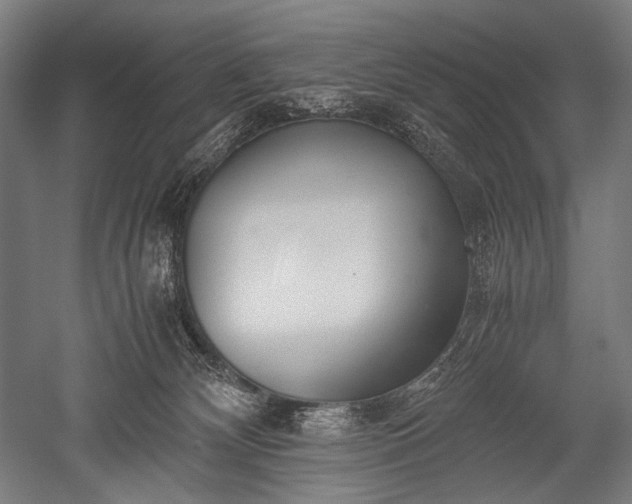 X0000052550132200507081619