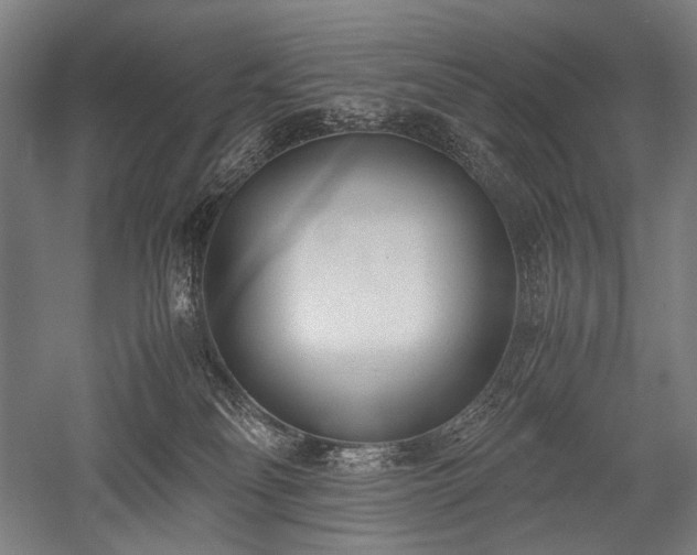 X0000052550134200507081619