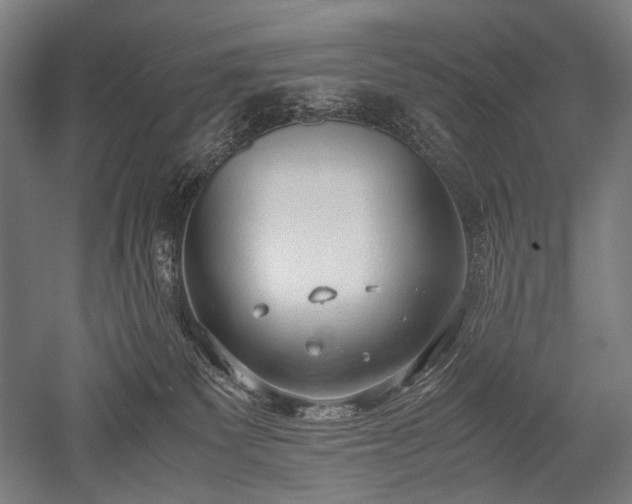 X0000052550135200507081619