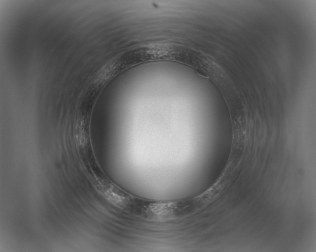 X0000052550136200507081619