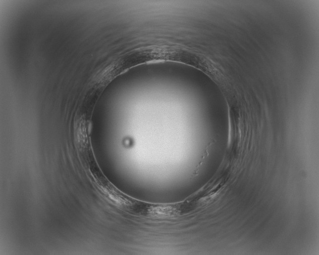 X0000052550137200507081619