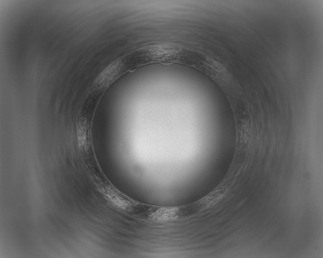 X0000052550138200507081619