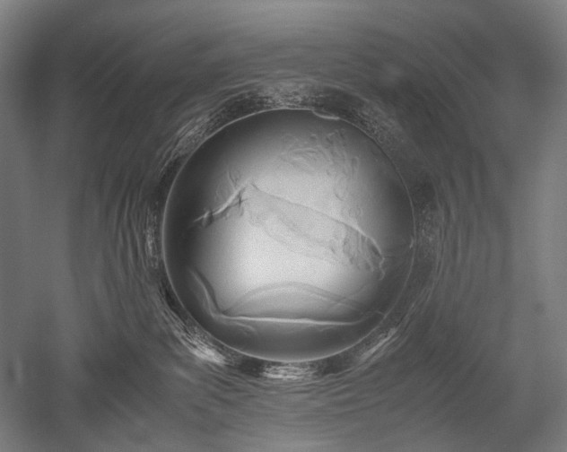 X0000052550139200507081619