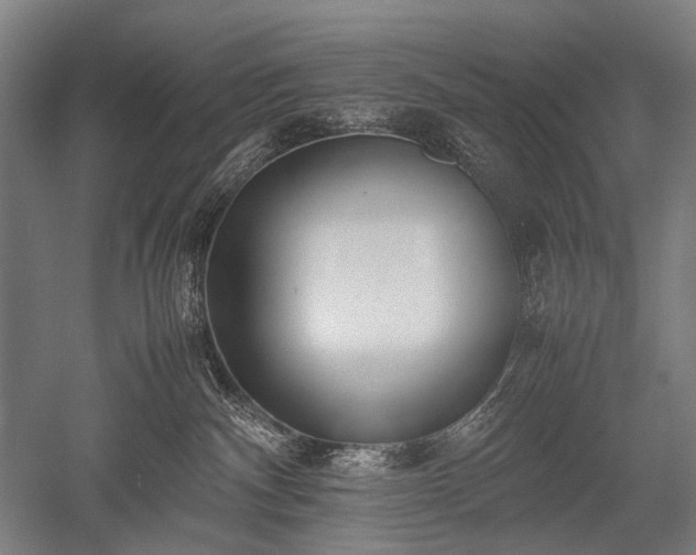 X0000052550140200507081619