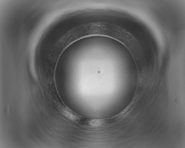 X0000052550142200507081619