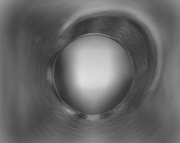 X0000052550143200507081619