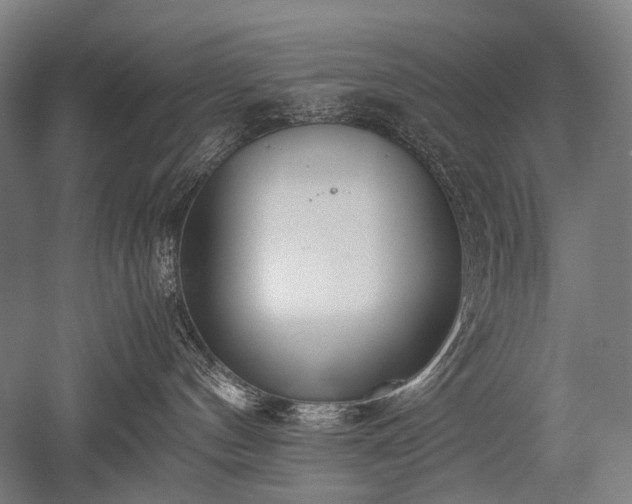 X0000052550144200507081619