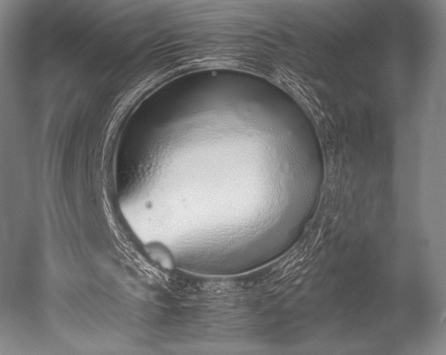 X0000052550145200507081618