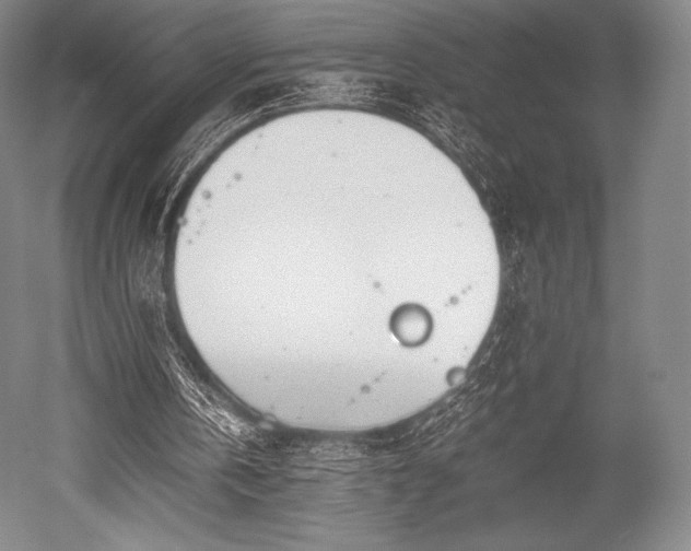 X0000052550146200507081618