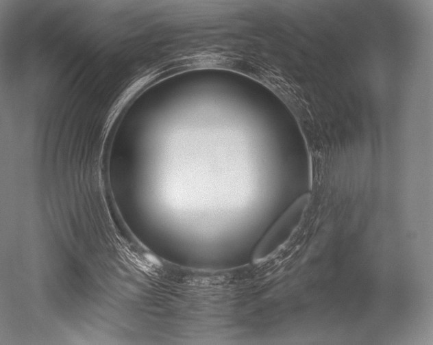 X0000052550147200507081618